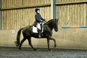 Isis Dressage Crown Farm Show 29th April 2012